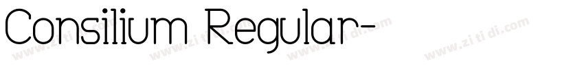 Consilium Regular字体转换